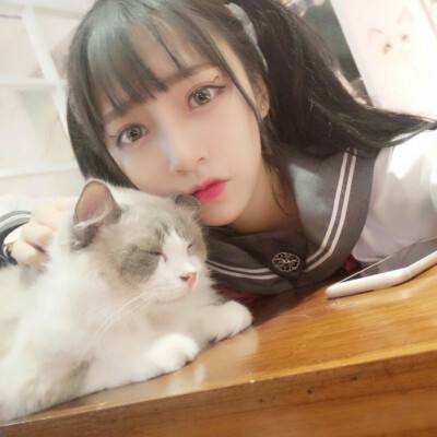 犬夜叉寻玉之旅果盘版下载